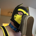 sockpup95 avatar