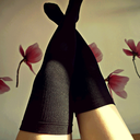 socks-stockings avatar