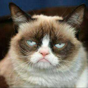 socomplicaded avatar