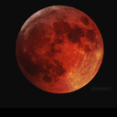 soconfusednow avatar