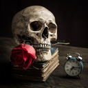 socoolraywoodbloghere avatar