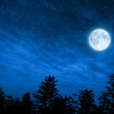 socratesvisitsarcadia avatar