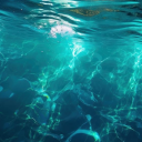 sodiumcoolride-blog avatar