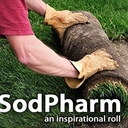 sodpharm avatar