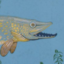 sofarapterous avatar