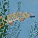 sofarwingless avatar