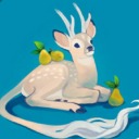 sofia-rojas-blog avatar