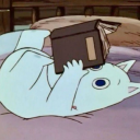 sofiachronicles avatar