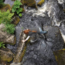 sofiescholtenart avatar