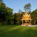 sofijaisastarblessings avatar