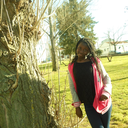 sofs-mendes-blog avatar