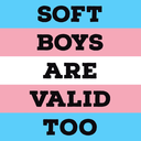 soft-boy-with-dysphoria avatar