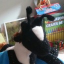 soft-distortion avatar