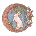 soft-elegance avatar