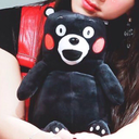 soft-fond-blog avatar