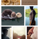 soft-mama-reads avatar