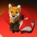 soft-plush-fox avatar