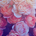 soft-strawberry avatar