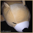 soft-support avatar