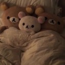 soft-tiny-bear avatar