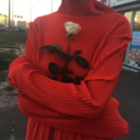 softadoration avatar