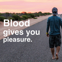 softandwarmtibbies avatar