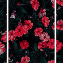 softdisorder-livingmadness avatar