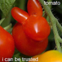 softened-hearts avatar