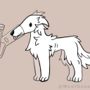 softenimgyouup avatar