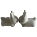 softeranimals avatar