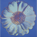 softerapocalypse avatar