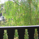 softertogether-blog avatar