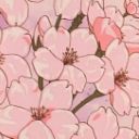 softflower12 avatar