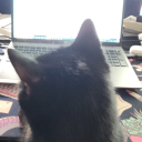 softheartsecrets avatar