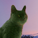 softkittymosskitty avatar