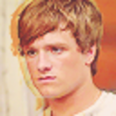 softlikethesunset avatar