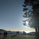 softlygentlymine avatar