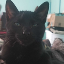 softmothwings avatar