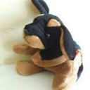 softplushspace avatar