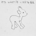 softspokengirl avatar