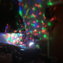 softvelvetrabbit avatar