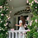 softwaredeciss avatar