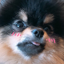 softyeontan avatar