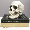 soggybaguettes avatar