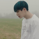 soggydumplings-blog avatar