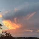 soggynuggieeeee avatar