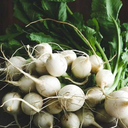 soggyspaceturnip avatar