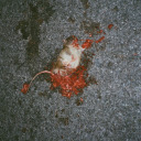 sogladtoknowyou avatar