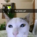 sogoodatreloading avatar