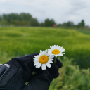 soguknevaleheh avatar